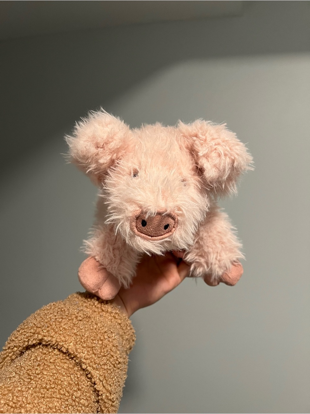 Jellycat Curvie Pig BNWT